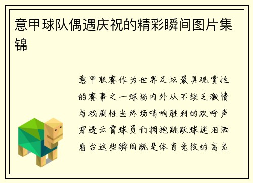 意甲球队偶遇庆祝的精彩瞬间图片集锦